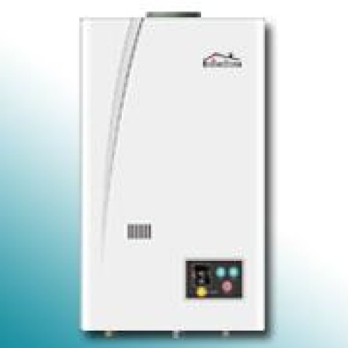 Ward 9L Flue Type Constant Temperature Water Heater